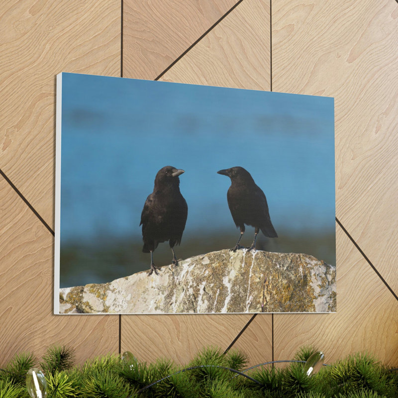 No Frame Print on Canvas, 27.94cm H x 35.56cm W