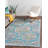 Paragon Floral Indoor Rug-2021833527