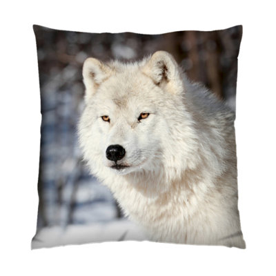 Mordy Square Throw Pillow Cover
