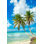 «Tropical Beach» par Anna_Shepulova - photographie sur toile tendue