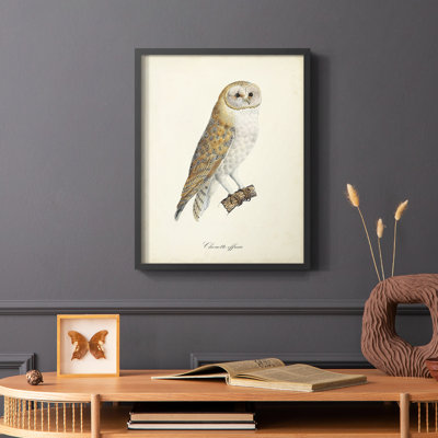 French Owls VI Framed Print - Solid Wood