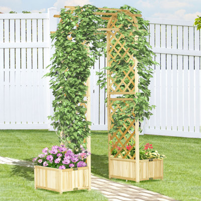 Tonnelle de jardin pour plantes grimpantes et treillis