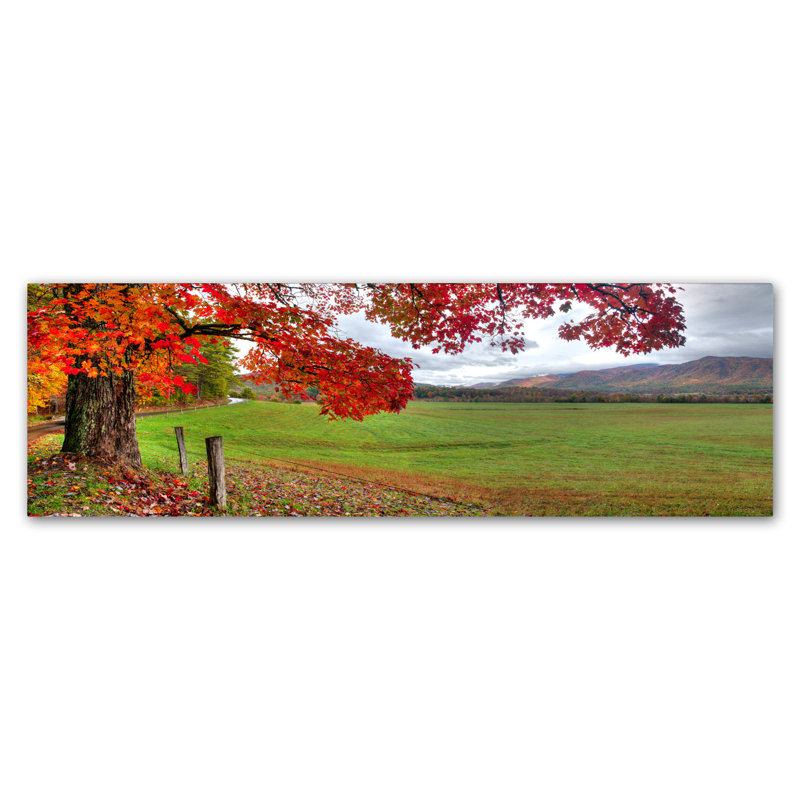 Schoodic «Fall Foliage», reproduction de photo sur toile tendue, H 10 po x l 32 po