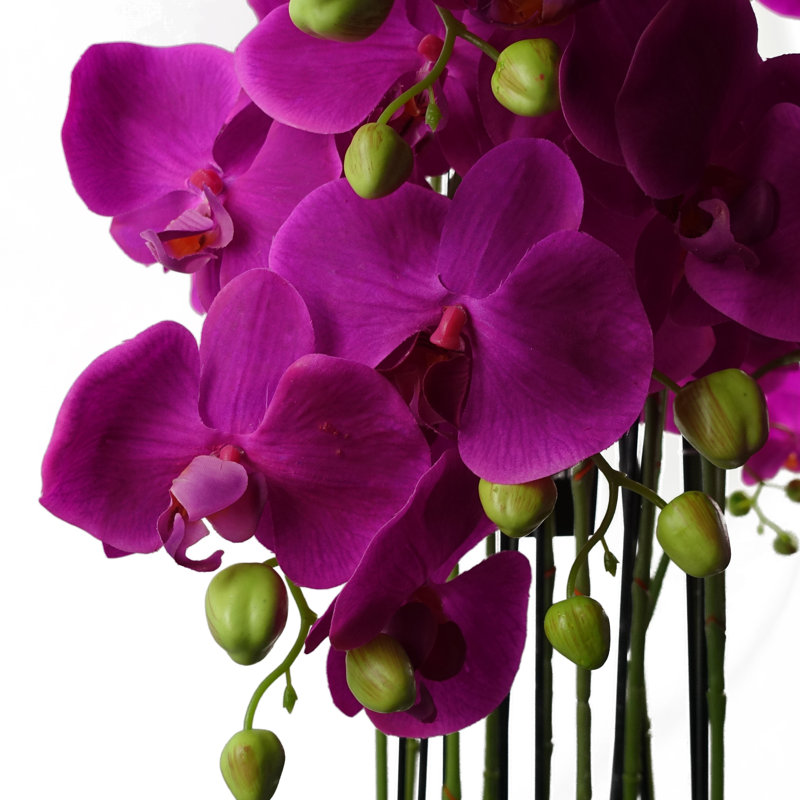 Real Touch Artificial Orchids Plastic, Silk Artificial Arrangement in Planter, Purple, 150cm H x 70cm W x 70cm D