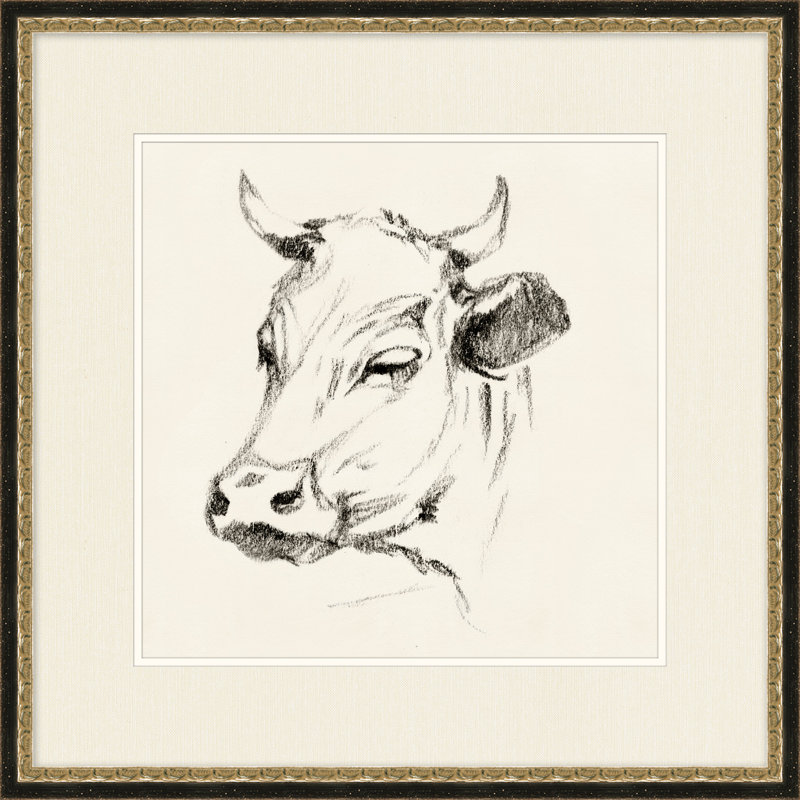 Country Cow Sketches 3 Framed Drawing Print
