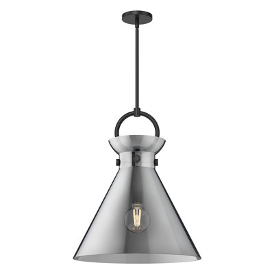 Tiney Single Light Glass Steel Pendant
