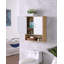 Armoire murale de salle de bain