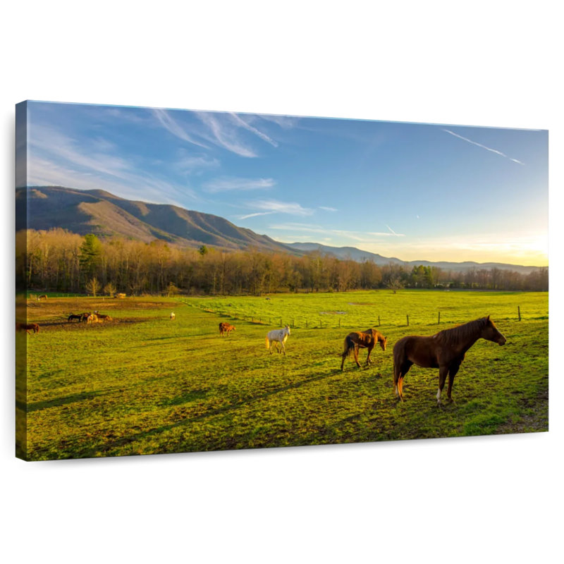 Alvord Horses In Farm Landscape, 8" H x 12" W