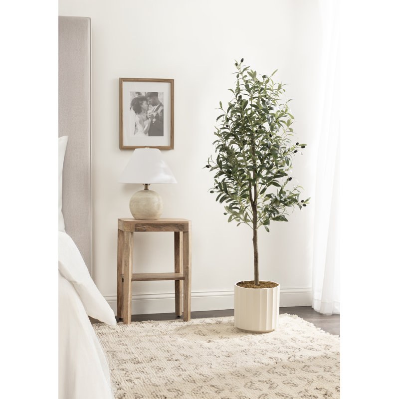 Oliveira moderne Oliveira avec pot de chambre de bébé et mousse ensachée, 60 po x 24 po, Blanc, Pot à fleurs Jibbs