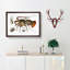 European Lobster by Albert I - Picture Frame Painting Print-55535782-55535786