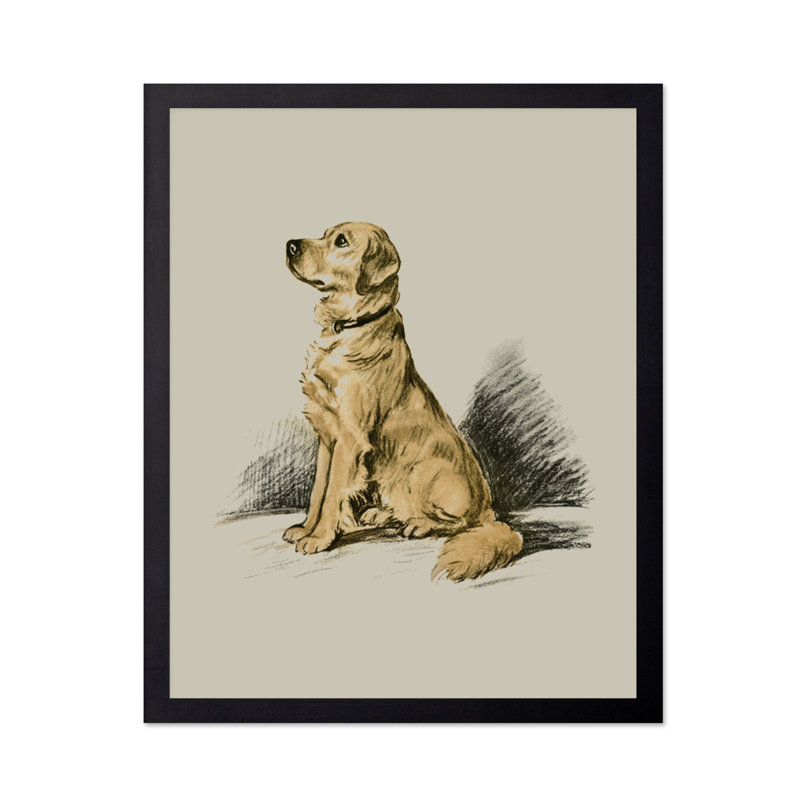 Labrador Retriever No1, H 18 po x l 24 po, Affiche, Sans cadre