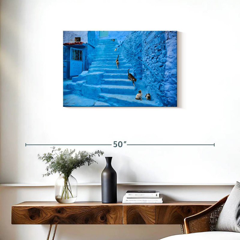 Chats Brampt Chefchaouen, H 20 po x l 30 po