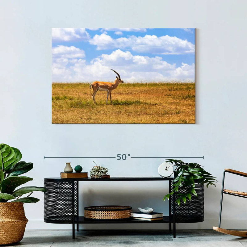 Gazelle Brampt dans la savane, H 30 po x l 45 po