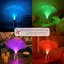 Rameriz 35.5Cm Lava Lamp