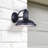 Islwyn Steel Wall Light-1950458196