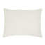 Arrowhead Lumbar Pillow Cover & Insert-62278197