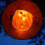 Chapeaux de sorcière suspendus illuminés d'Halloween 8 pièces, télécommande avec 8 modes d'éclairage illuminant les guirlandes d'Halloween de 14 pi