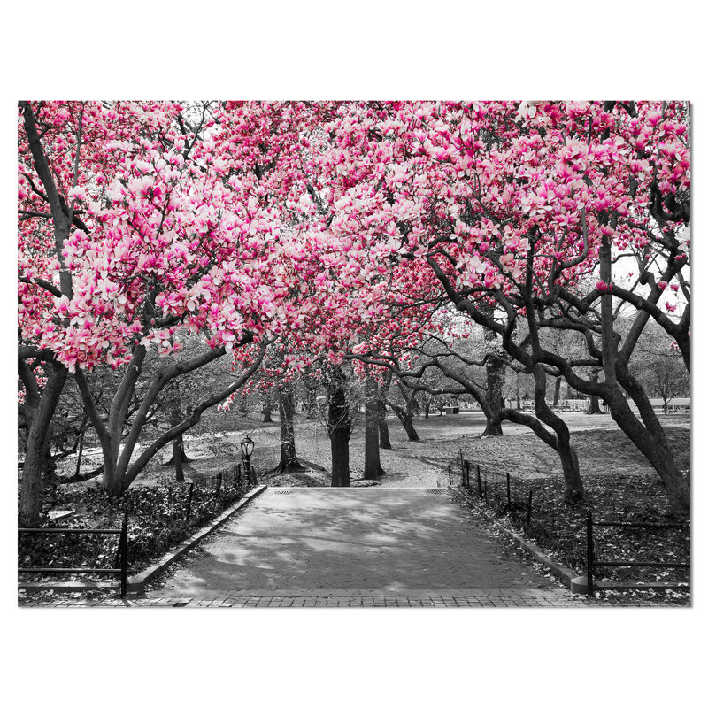 Paysage de cerisiers en fleurs - reproduction de photo sur toile, H 30 po x l 40 po x P 1,5 po
