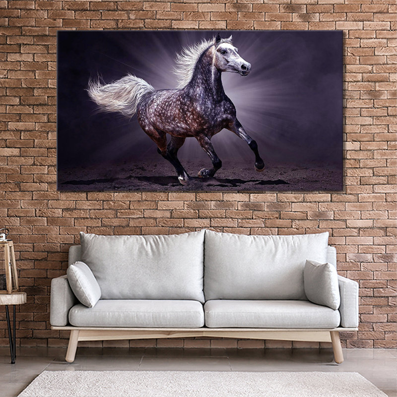 Arabian Horse - Wrapped Canvas Print, 61cm H x 101cm W x 2cm D