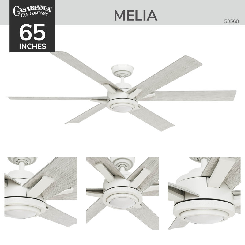 Casablanca 65 inch Melia ENERGY STAR®  Damp Rated Ceiling Fan with Lights and Wall Control, White