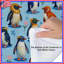 Édredon coloré Illustration de pingouin-129724419