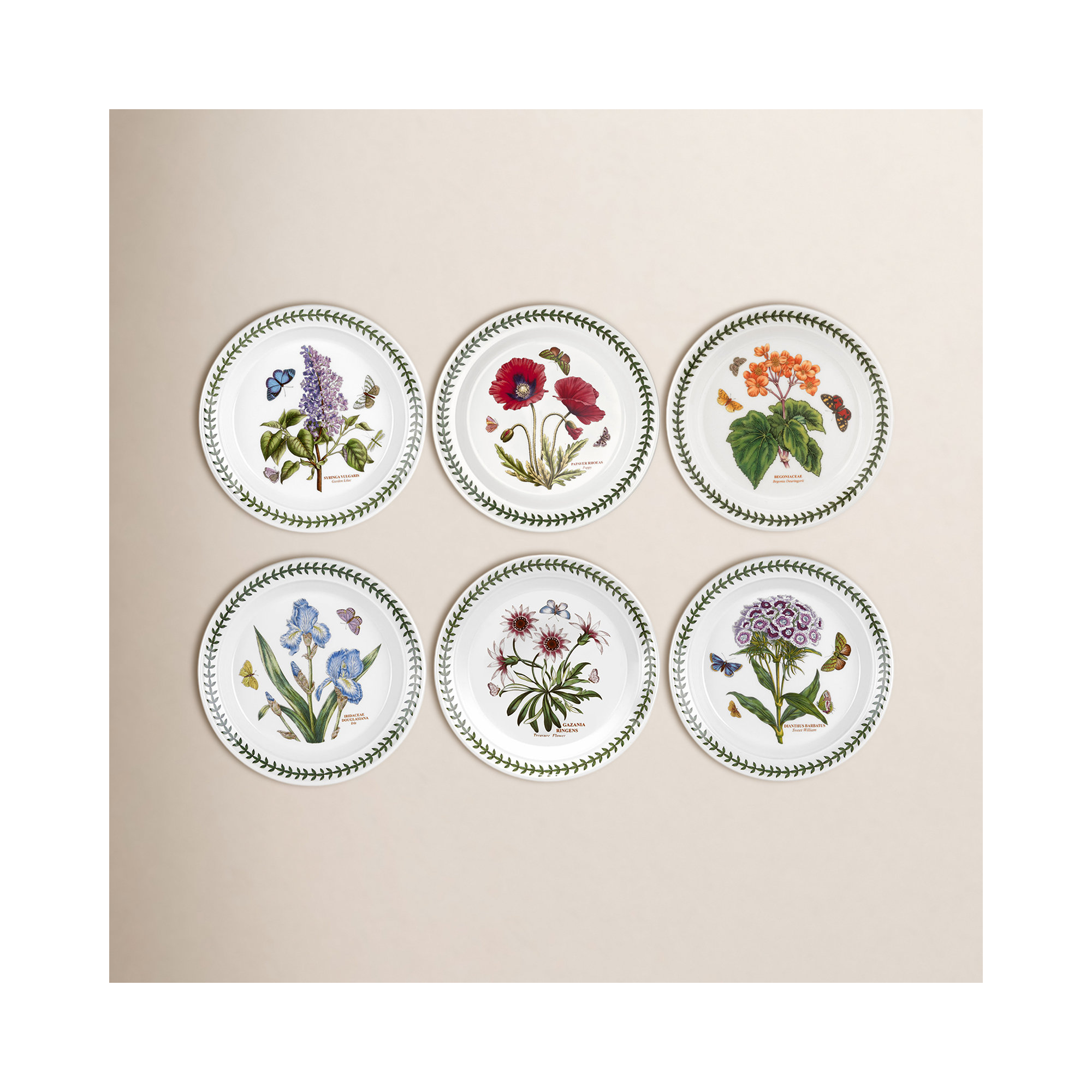 Portmeirion Botanic Garden Salad Plate