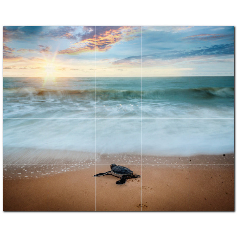Tortue photo 4,25 x 4,25