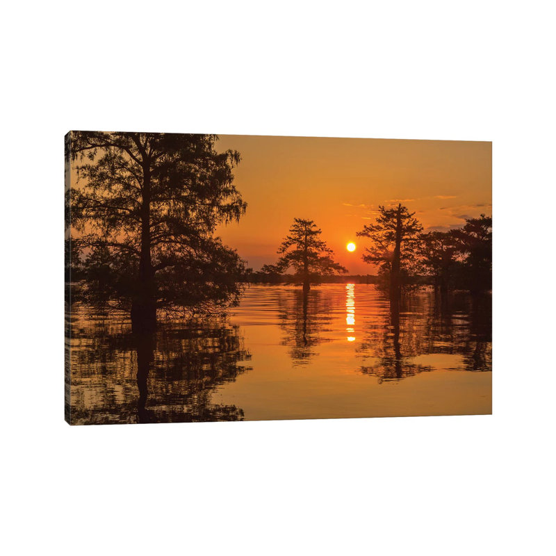 Sunrise On Swamp by Jaynes Gallery - Wrapped Canvas Print, 20.32cm H x 30.48cm W x 1.905cm D