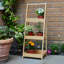 Balhar Plant Stand