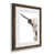 Papier, cadre noyer