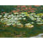 Serenity Lotus Pond Iii Print by Ruth Hayes-65806594-65806595