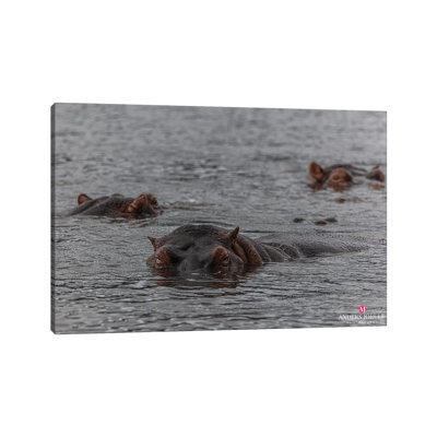 Looks Who's Here! by Anders Jorulf - Wrapped Canvas Gallery-Wrapped Canvas Giclée