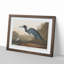 Blue Heron by John James Audubon - Picture Frame Art Print-55545461-55545463