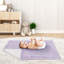 Purple Floral Rose Security Baby Blanket By Sweet Jojo Designs