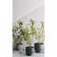 Pot à fleurs en plastique recyclé-129012108-129012106