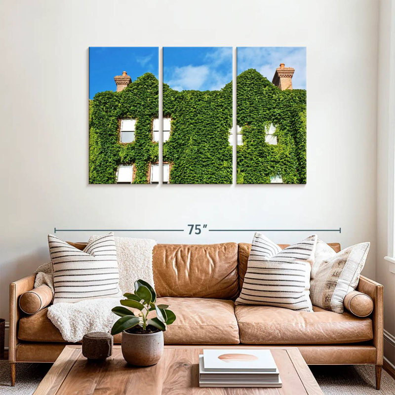 Maison couverte de plantes