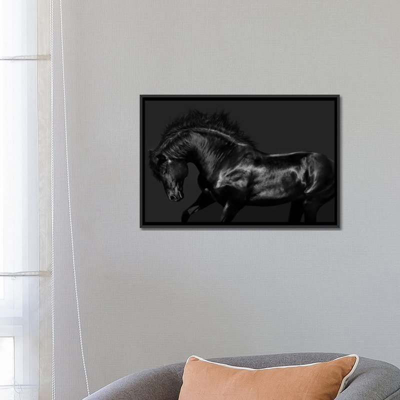 «Black on Black», impression sur toile, H 18 po x l 26 po x P 1,5 po, Toile avec cadre noir, Pas de tapis