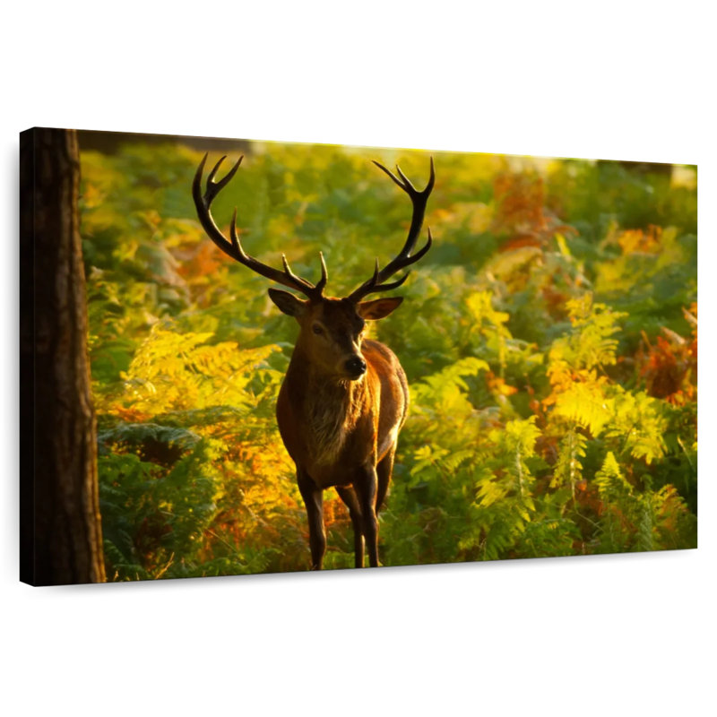Cerf Brampt Autumn Woodland, H 34 po x l 51 po
