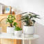 Lot de 3 pots de fleurs en céramique-1190729362