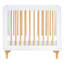 Lolly 4-In-1 Mini Convertible Crib