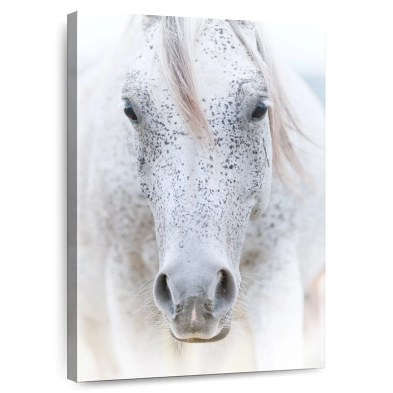 Cheval arabe roussi Brampt, H 24 po x l 16 po