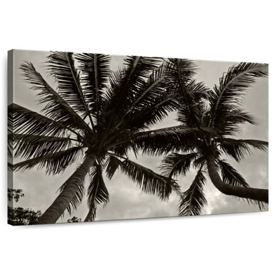 Harnek Palms At Night V