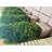 Niyla Handmade Wood Planter Box-919441139