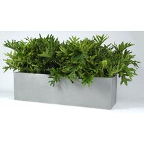 Box Purple Planters You'll Love