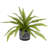 12'' Faux Fern Plant Plant in Pot