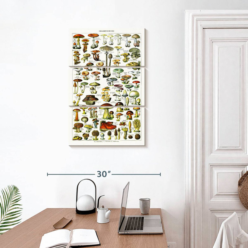 Yarlin Mushroom Varieties, 32" H x 20" W