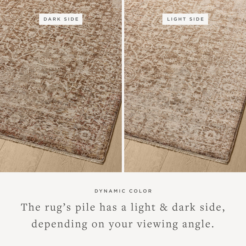 Bungalow Rose Allysan Bark / Natural Area Rug, Runner 2'7" x 8'