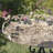 Emaliya Iron Birdbath