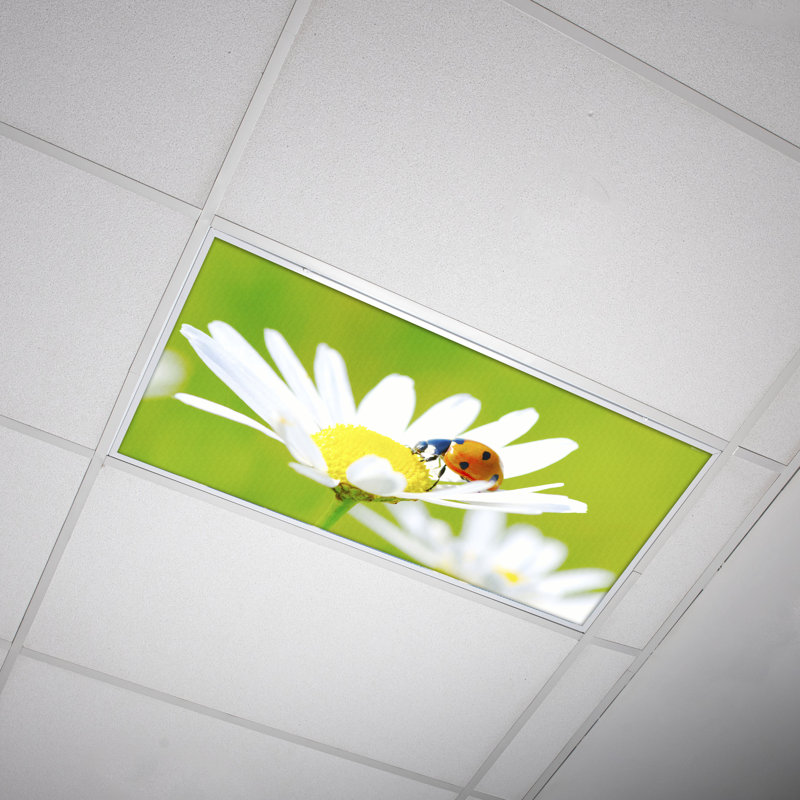 Couvre-lampes fluorescents pour salle de classe Flower - pour luminaire 2 x 4 - par Octo Lights