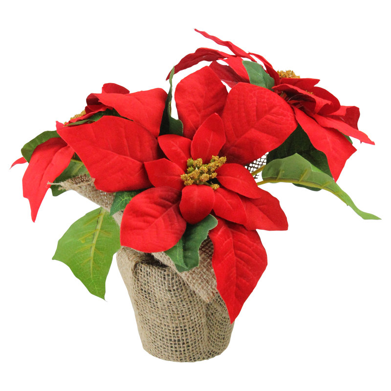 Arrangement floral de Noël 10 po poinsettia